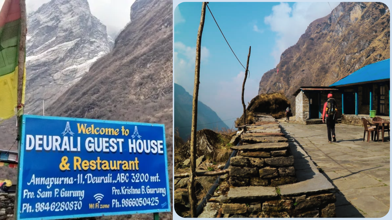 Average reply: under 5 minutes during business hours.